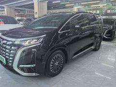 Denza D9 DM-i 980 Four-Wheel Drive Premium - фото 3