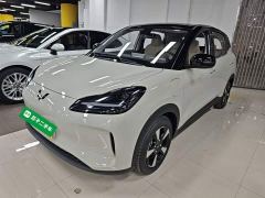 Wuling Binguo PLUS 401km 5-Seater - ფოტო 1