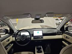 Wuling Binguo PLUS 401km 5-Seater - ფოტო 17