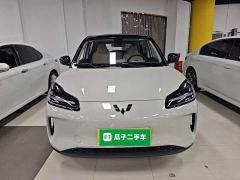 Wuling Binguo PLUS 401km 5-Seater - ფოტო 2