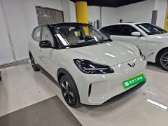 Wuling Binguo PLUS 401km 5-Seater - ფოტო 3