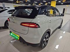 Wuling Binguo PLUS 401km 5-Seater - ფოტო 6
