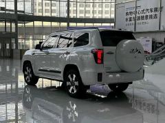 BAIC BJ60 EREV 152km Everest Advanced Edition 5-seater - photo 10