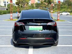 Tesla Model Y 688km Long Range AWD - ფოტო 8