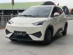 BYD Seagull 305km Free Version - photo 1
