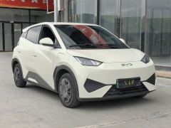 BYD Seagull 305km Free Version - photo 3