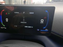 BYD Seagull 305km Free Version - photo 6