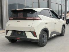 BYD Seagull 305km Free Version - photo 9