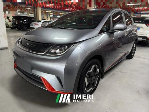 2023 BYD Dolphin 420km Stylish Edition