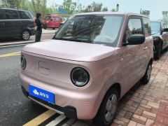 Geely Galaxy Panda mini 200km Endurance Bear - photo 1