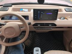 Geely Galaxy Panda mini 200km Endurance Bear - photo 16