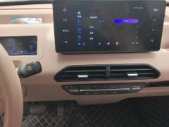 Geely Galaxy Panda mini 200km Endurance Bear - photo 17