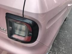 Geely Galaxy Panda mini 200km Endurance Bear - photo 5