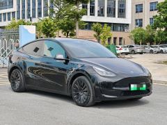 Tesla Model Y 545km Rear-Wheel Drive Edition - ფოტო 3