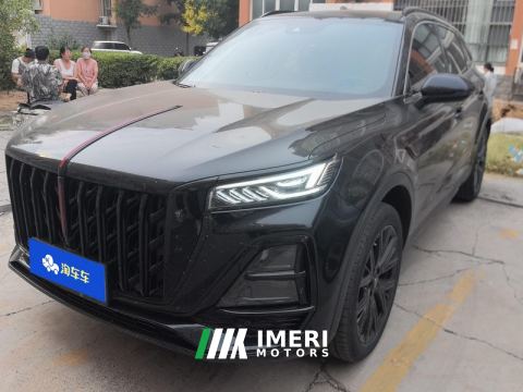 2025 Hongqi HS5 2.0T Two-Wheel Drive Mystic Shadow Edition - ავტომობილი ჩინეთიდან
