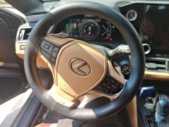 Lexus ES 300h Premium Edition - photo 18
