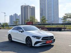 Mercedes-Benz CLS 300 Dynamic - фото 3