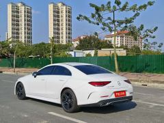 Mercedes-Benz CLS 300 Dynamic - фото 9