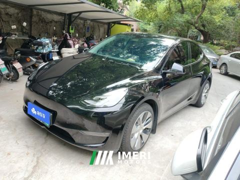 2021 Tesla Model Y Standard endurance rear-wheel drive - ავტომობილი ჩინეთიდან