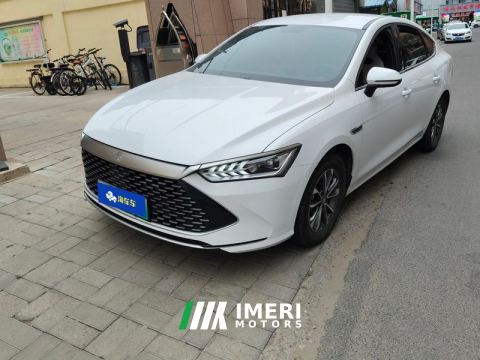 2024 BYD Qin PLUS DM-i Honor Edition 1.5L 55km Leading Edition