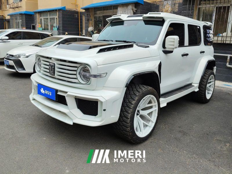 Tank 300 2.0T Challenger Gasoline - car from China