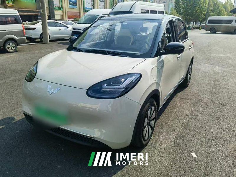 Wuling Bingo 333km Enjoy Edition - car from China