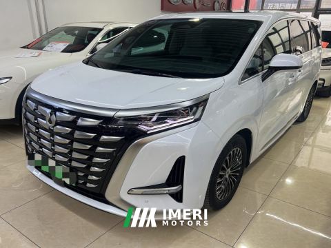 2022 Denza D9 DM - car from China