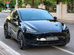 Tesla Model Y 688km Long Range AWD - ფოტო 3