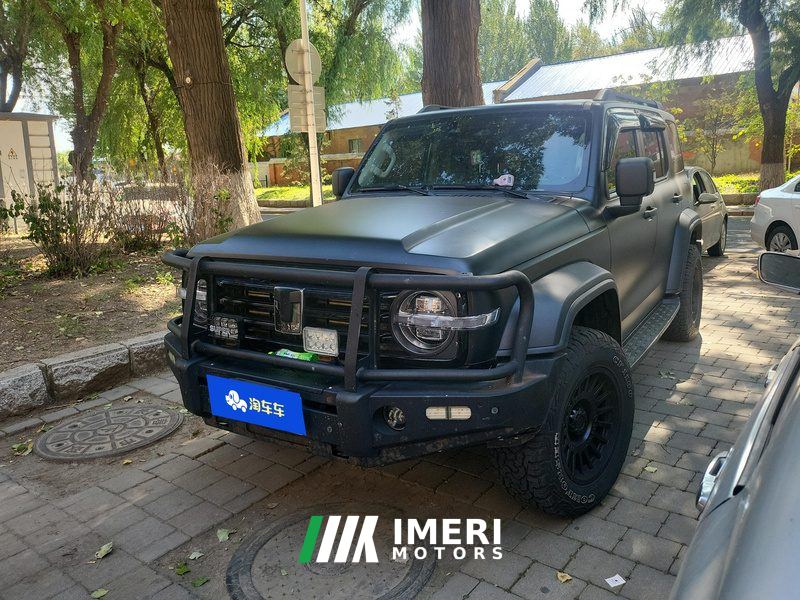 Tank 300 Off-Road Edition 2.0T Conqueror - car from China