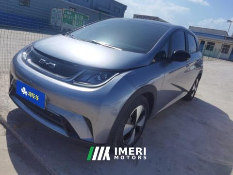2023 BYD Dolphin 420km Stylish Edition - ავტომობილი ჩინეთიდან