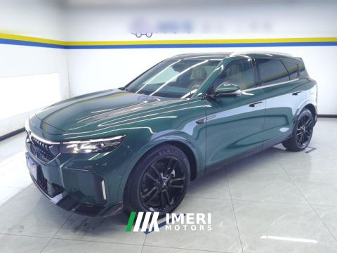 2024 Voyah FREE 210km 4WD Ultra Long Range Intellectual Driving Edition