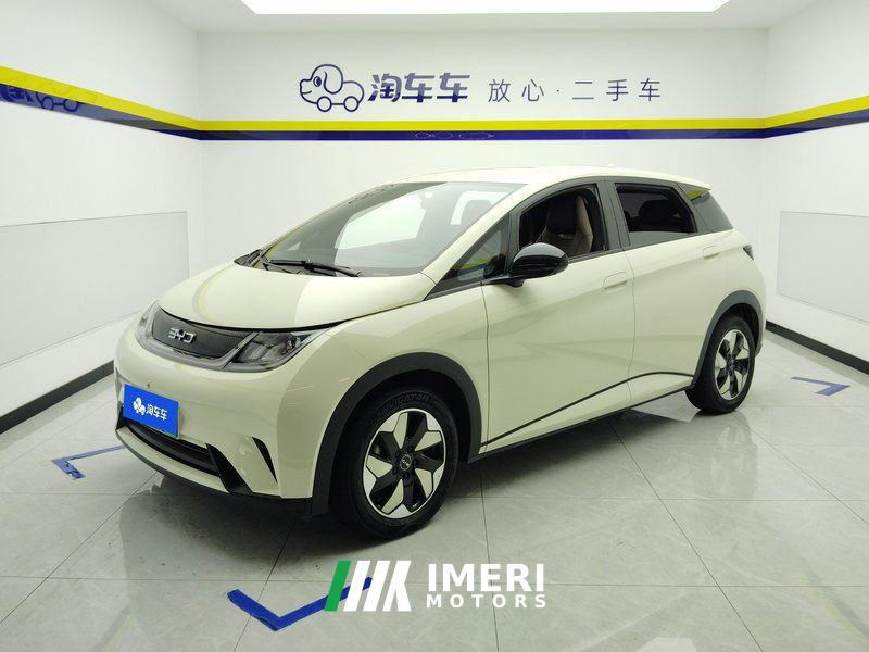 BYD Dolphin 420km Free Version - car from China