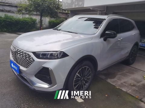 2022 WEY latté Wei brand latte 1.5T DHT Extra Large Cup