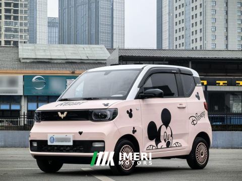 2021 Wuling Hongguang MINIEV Enjoy macaroons 170KM Ternary Lithium