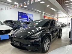 Tesla Model Y 545km Rear-Wheel Drive Edition - ფოტო 1