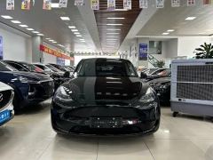 Tesla Model Y 545km Rear-Wheel Drive Edition - ფოტო 2