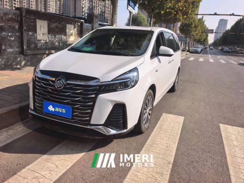 2023 Buick GL8 Land Business Class 2.0T Luxury Edition 7-seater