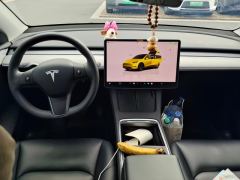 Tesla Model Y 554km Rear-Wheel Drive Edition - фото 16