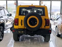 Tank 300 2.0T Frontier Limited Edition - photo 5