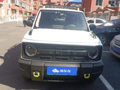 Geely Galaxy Panda 200km Panda Knight - ფოტო 3