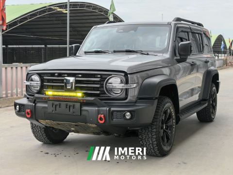2021 Tank 300 Off-Road Edition 2.0T Conqueror - ავტომობილი ჩინეთიდან