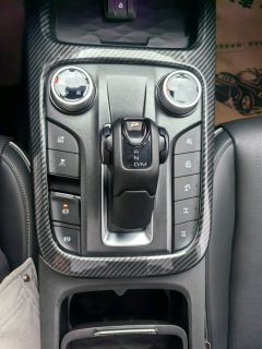 Tank 300 Off-Road Edition 2.0T Conqueror - photo 16