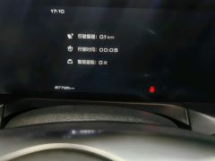 Tank 300 Off-Road Edition 2.0T Conqueror - ფოტო 9