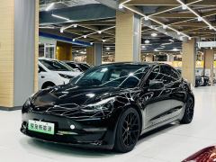 Tesla Model 3 556km Rear-Wheel Drive Edition - фото 1