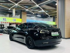 Tesla Model 3 556km Rear-Wheel Drive Edition - фото 4