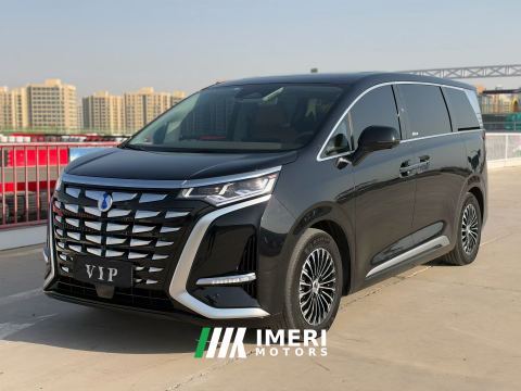 2022 Denza D9 DM-i 1040 Premium