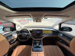 Denza D9 DM-i 1040 Premium - фото 4