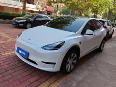 Tesla Model Y 554km Rear-Wheel Drive Edition - ფოტო 1