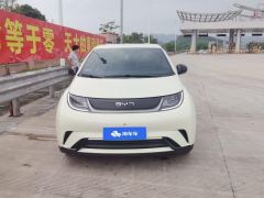 BYD Dolphin 420km Free Version - photo 3