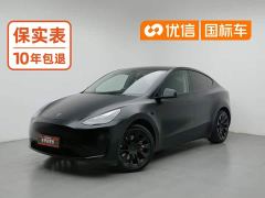 Tesla Model Y Rear-Wheel Drive - photo 1